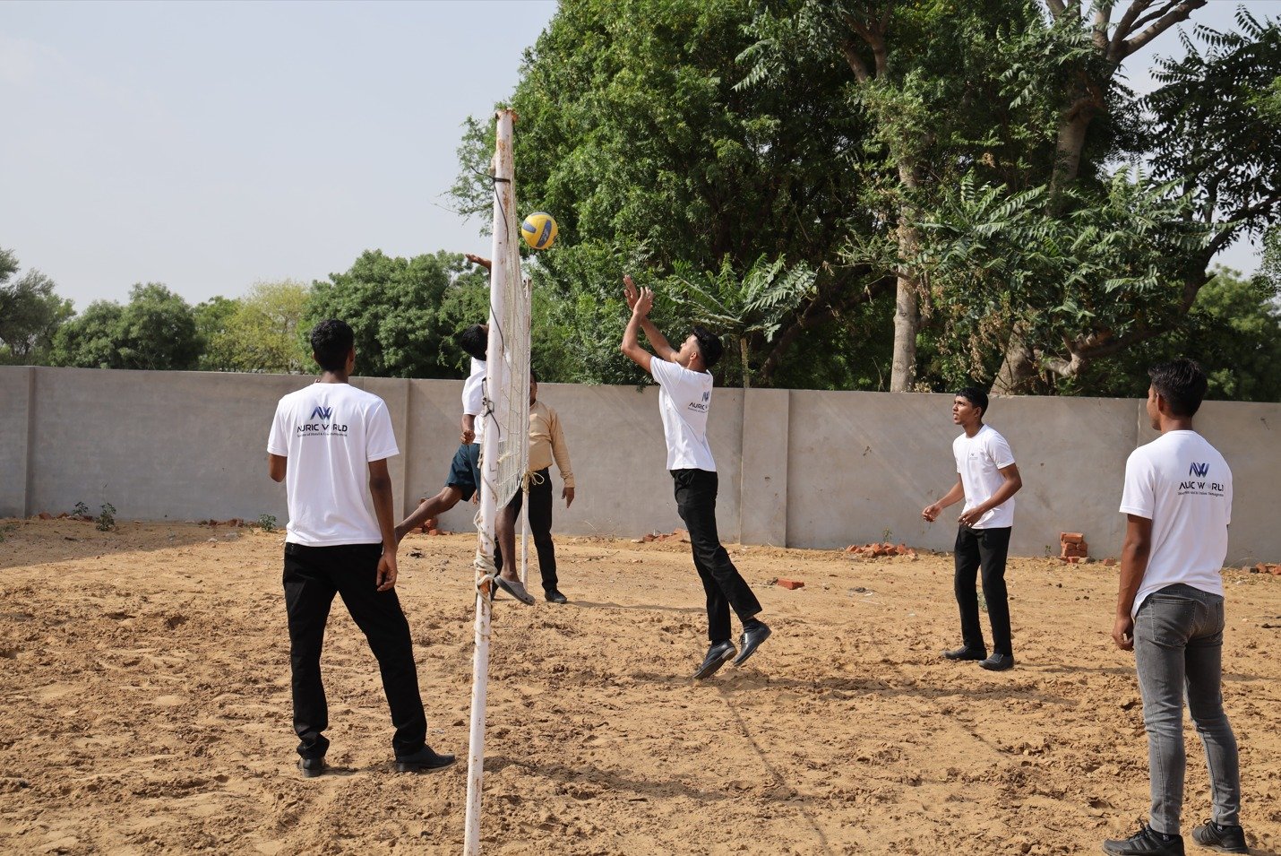 Volleyball Sports Activity